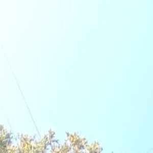 Meet your Posher, Dominique